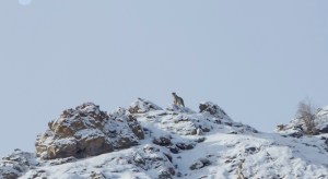 The sighting of the last day against blue skies